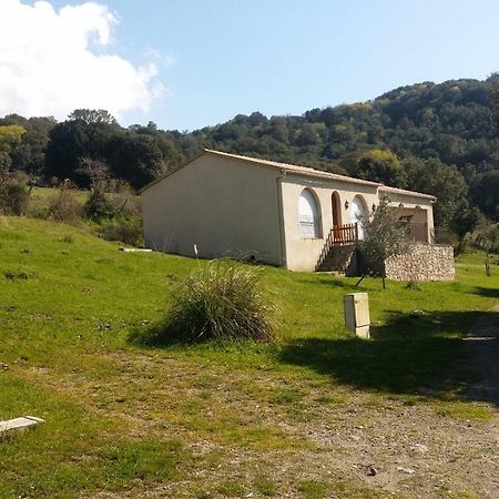 Villa Courtaline Pietralba Exterior foto